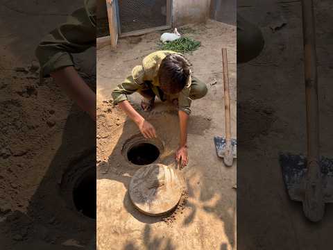 Rabbit baby nhi mila 🐇😱 #pets #rabbit #cuteanimals