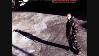 Bassi Maestro (feat. Rido) - The Shit Dropper