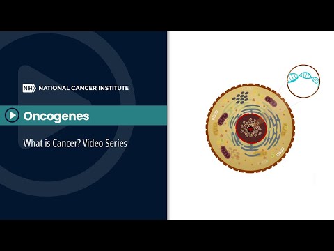 Oncogenes: What is Cancer? Video Series