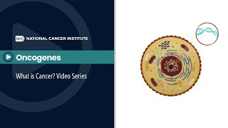 Oncogenes: What is Cancer? Video Series