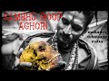 Mahadev Whatsapp Status Video Sambhu Roop Aghori