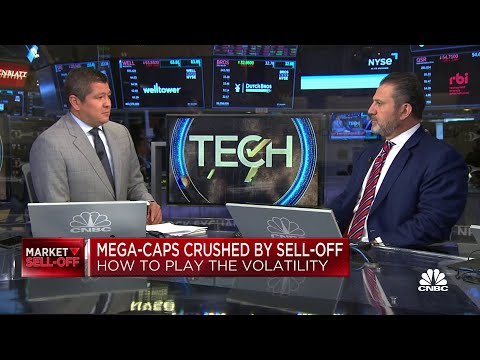 P/E ratios relative to growth are at trough multiples, says Wedbush's Manuelian P/E ratios relative to growth are at trough multiples, says Wedbush's Manuelian