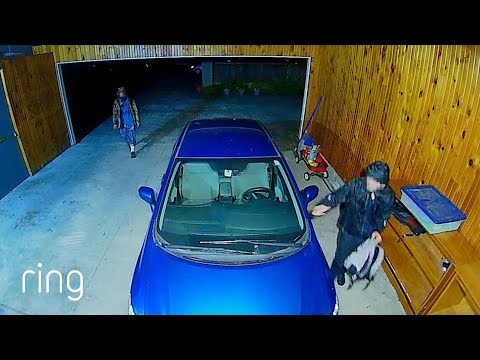 Hilary Used Her Ring's Siren & Two-Way Talk Features To Get Strangers off Her Property | RingTV