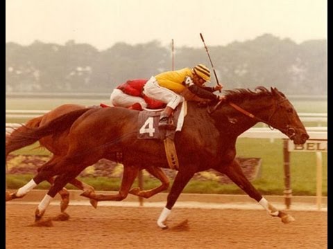 FOREGO - Documentary