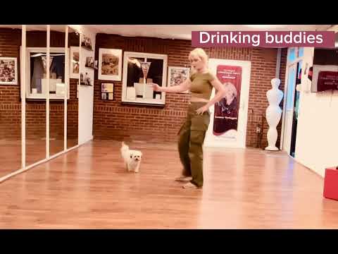Drinking buddies, line dance teach