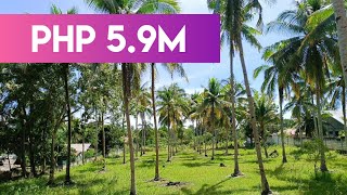 RESIDENTIAL LAND FOR SALE BOHOL, PHILIPPINES