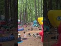Bonaroo 2025 forest