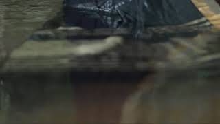 Download lagu Save The Date #Wedding Video # mp3