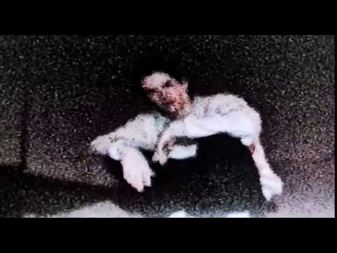 download lagu mp3 mp4 Bones Dirt Instrumental, download lagu Bones Dirt Instrumental gratis, unduh video klip Bones Dirt Instrumental