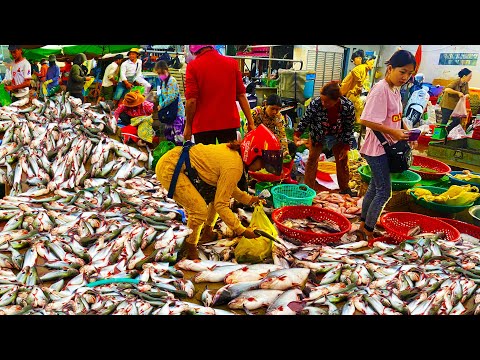 Food Rural TV, Early Morning Fish Distribution​ Prek Pnov Market in Phnom Penh