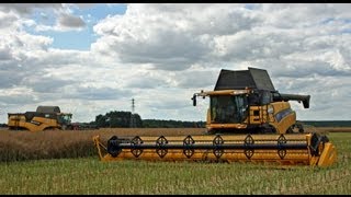 preview picture of video 'Moisson du colza 2009 New Holland CR9090 Elevation & CX880 - rapeseed harvest'