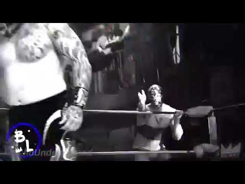 Prince puma vs fenix