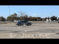 Seagulls TAKEOVER Parking Lot