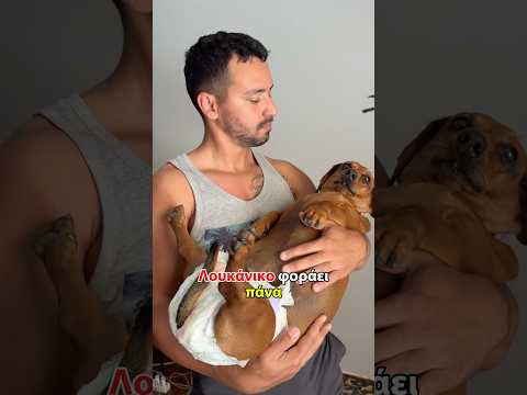Το λουκάνικο 🌭 φοράει πάνα