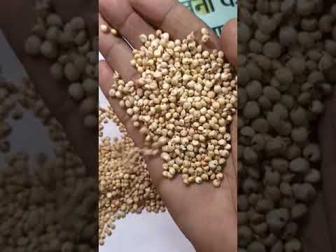 Hybrid sorghum seed, packaging type: bag, packaging size: 25