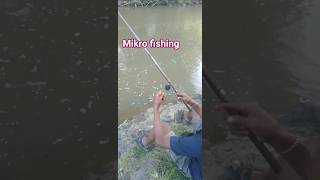 Download lagu mancing mantap #shortsviral #mancing #fishing #soundviral #shorts mp3 Download lagu mancing mantap #shortsviral #mancing #fishing #soundviral #shorts mp3
