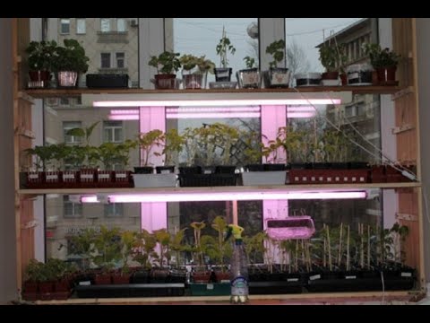 Как сделать полки для цветов 🌹и рассады своими руками. Стеллаж для рассады и цветов