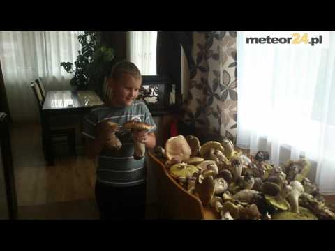 Agroturystyka U Magdy - Ochotnica Górna meteor24.pl