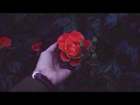 Jakomo & Tatar - Сорви Розу 🌹❤