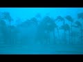 12 Hours Inside A Category 5 Hurricane Rain Thunder Sounds For Sleep Lock The Door Go Sleep ASMR