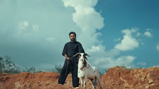 Download lagu VENKAI | Ratty Adhiththan | Teaser | V.M Mahalingam | Kumaran Sivamani | SailyProductions mp3 Download lagu VENKAI | Ratty Adhiththan | Teaser | V.M Mahalingam | Kumaran Sivamani | SailyProductions mp3