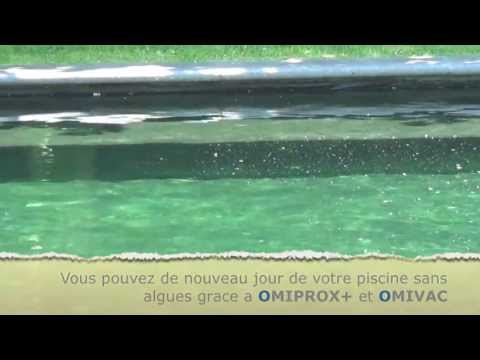 comment traiter algues aquarium