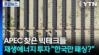 APEC 찾은 빅테크들...재생에너지 투자 "한국만 패싱?" / YTN