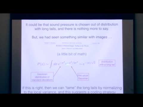 Allison J. Doupe Memorial Symposium - William Bialek, PhD