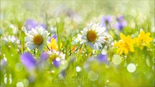 The Alchemy of Love by Rumi (Lisa Gerrard & Patrick Cassidy - Marantha)