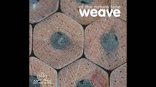 Weave – Of The Nature Tone (2005) [Full album]