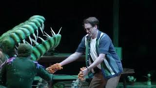 Feed Me (Git It) | Little Shop of Horrors