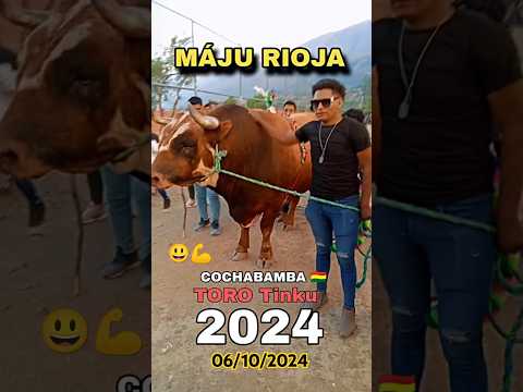 El gran MAJU RIOJA - Con su toro en Zona norte de COCHABAMBA 🇧🇴 #bolivia
