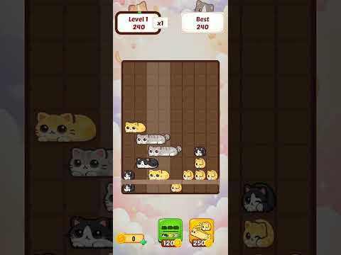 Cat Slide Puzzle
