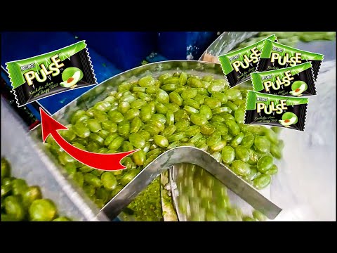 देखिए Pulse Candy कैसे बनती है | Pulse Candy Making Machine | How Pulse Candy is Made | Candy Making