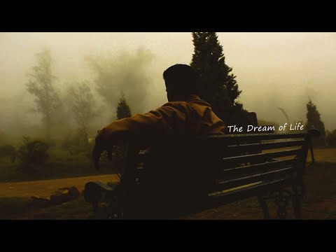 Dream of Life(Alan Watts)|Travel Video