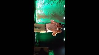 Selector Dub Narcotic live @ L'Olympic Café, Paris le 12 novembre 2016