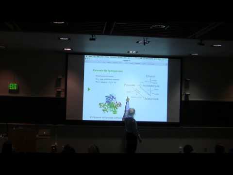 Kevin Ahern's BB 451 Overview #1  2017