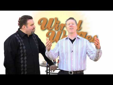 Wired Waffles Shark Tank Pitch