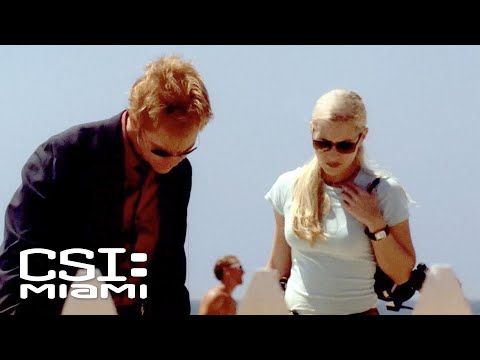 Evidence Is Found on the Walkway of the Hamilton Home