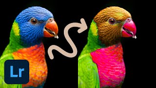 How to Change Specific Colors in Adobe Lightroom Using Color Mixer