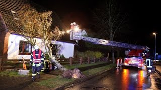 preview picture of video 'Baum auf Haus - Einsatz für die Feuerwehr'