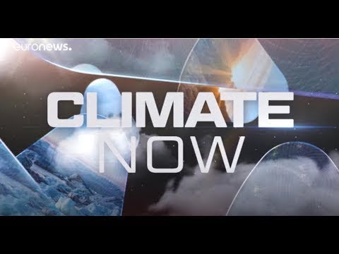 Climate Now by Copernicus - February 2020