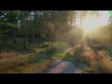 Drönare mavic 2 pro salsjön