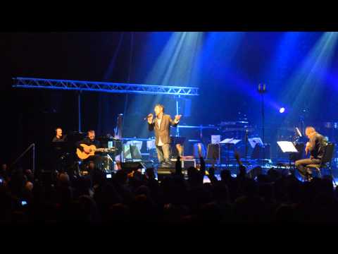 Serj Tankian - live concert in Vilnius 2013