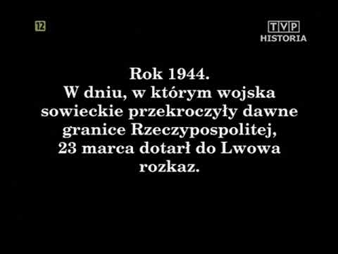 Burza we Lwowie. Dokument (2004)
