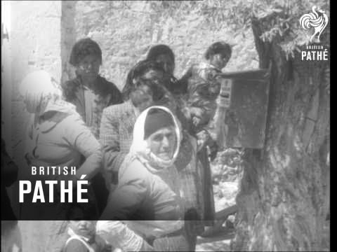 Harding Visits Vassilia (1956)