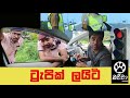 Traffic Light Traffic Police Srilanka