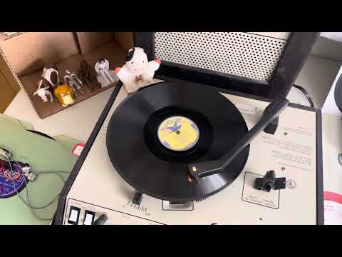 Tampa Red “Worthy of You” Bluebird B-5981