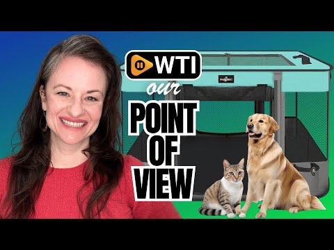 Foldable Pet Kitten Playpen - WTI product video review