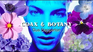 Gus Dapperton - Coax &amp; Botany [Lyrics + Sub. Español]